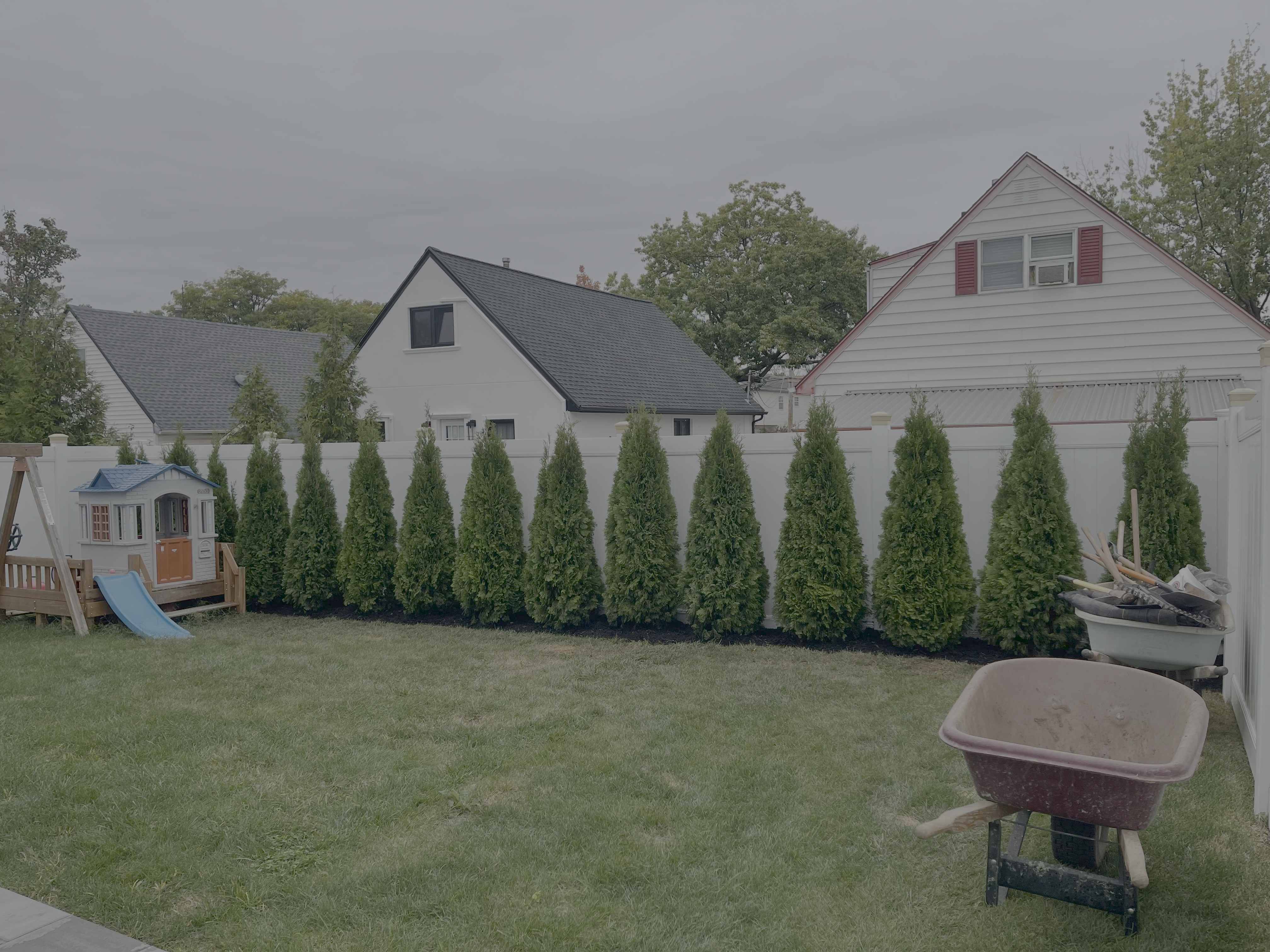 Sapling planting service